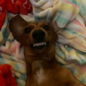 Meet your Posher, Whitney